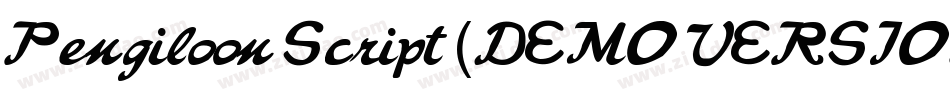 Pengiloon Script (DEMO VERSION)字体转换